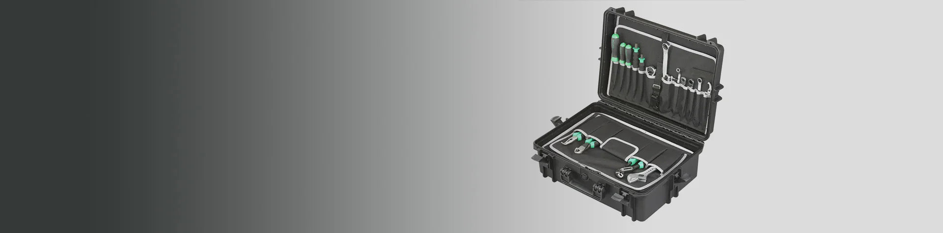 A black hard case with various green and silver tools neatly organized inside, displayed on a light grey background.