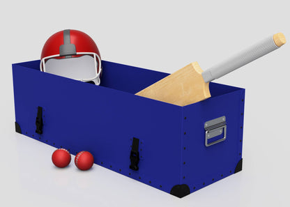 The Cricket Storage Poly Case (Small), blue with a zinc drop handle, holds a cricket bat and a red helmet. Two red cricket balls are placed on the ground outside the case.